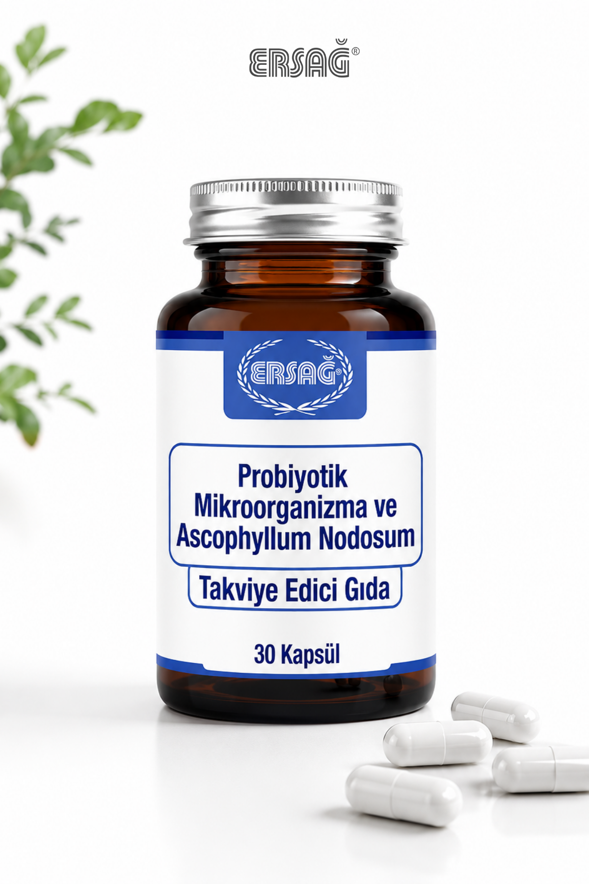ERSAĞ Microorganisme Probiotice și Ascophyllum Nodosum 30 Capsule